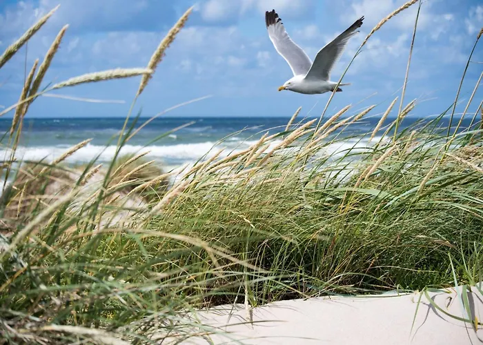 דירה In Het Zoute With Sea Views *